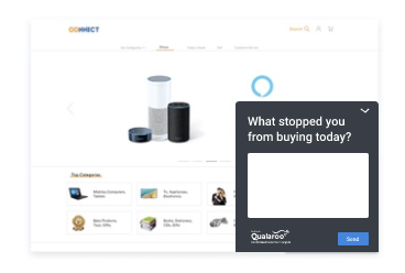 website-survey