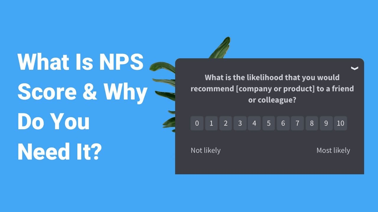 What Is NPS Score & Why Do You Need It?
